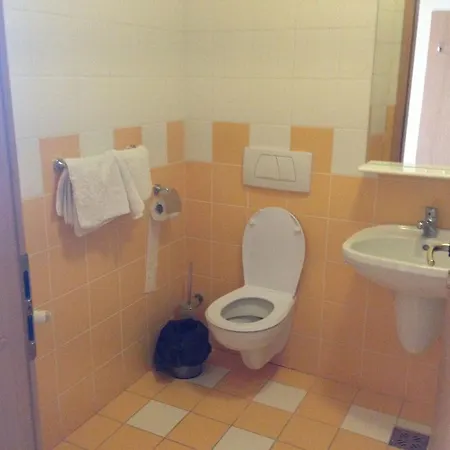 Ct Tm 招待所 蒂米什瓦拉